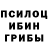 Галлюциногенные грибы мицелий SuperDragzon
